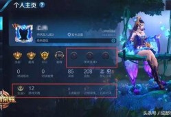 王者ksg最新爆料,王者峡谷神秘英雄KSG即将登场！