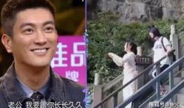 杜江娱乐爆料事件视频,揭秘娱乐圈幕后真相