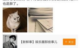 大芝麻爆料铲屎官视频播放,揭秘铲屎官背后的温馨故事
