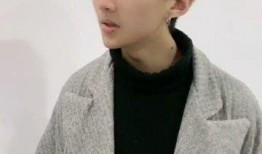《整容》手机在线观看,揭秘美丽背后的秘密与代价