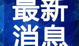 东方树叶最新爆料视频大全,揭秘茶饮新风尚