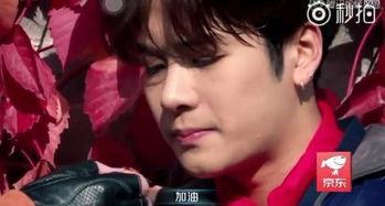 吃瓜娱乐圈王嘉尔是谁